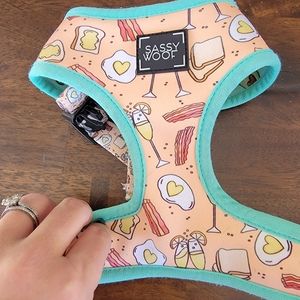 Sassy woof brunch reversible harness